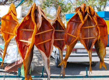 Zayıf tuzlu lezzetli balıklar güneşte soluyor. Lezzetli altın renkli balıklar güneşin altında rüzgarda tüketilmek için güzelce hazırlandı.. 