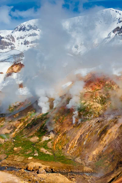 View of gas and steam geyser eruptions of the Stained glass wall in the Valley of Geysers. Typical landscape with geyser emissions of water, steam and gases in the Valley of geysers in Kamchatka.