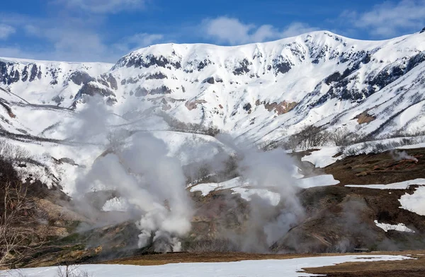 Emissions of gas, steam and water from thermal geysers in the valley of Geysers. May snow landscape with a view of the Kamchatka valley of Geysers.