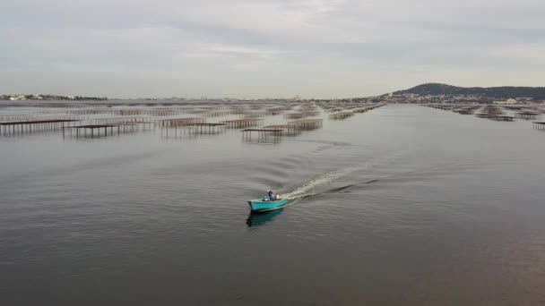 Kabuklu Deniz Hayvanı Teknesi Fransa Nın Occitanie Kentindeki Tayland Lagünündeki — Stok video