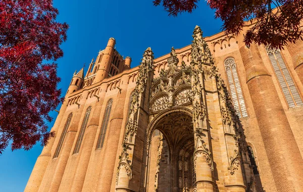 Sainte Ccile Cathedral Baldachin Albi Tarn Occitanie France — Stock Photo, Image