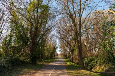 Tayland göleti yakınlarında bisiklet ve yaya yolu, kışın, Fransa 'nın Occitanie şehrinde Poussan' da