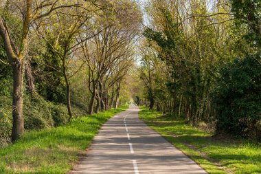 Çalılıklarda bisiklet ve yaya yolu, ilkbaharın başlarında, Poussan, Occitanie, Fransa