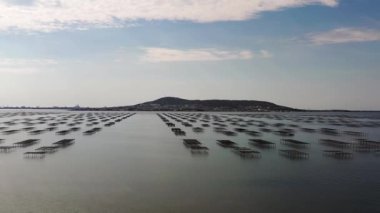 Fransa 'nın Occitanie kentindeki Herault' daki Thau lagünündeki Bouzigues 'deki istiridye masalarının hava manzarası.