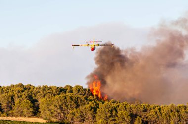 Kanada yazın Fransa 'nın Occitanie kentindeki garrigue' de yangın çıkarmaya çalışıyor.