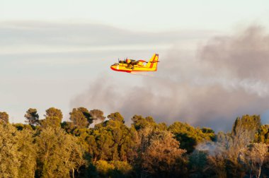 Kanada yazın Fransa 'nın Occitanie kentindeki garrigue' de yangın çıkarmaya çalışıyor.