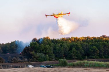 Kanada yazın Fransa 'nın Occitanie kentindeki garrigue' de yangın çıkarmaya çalışıyor.