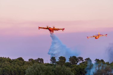 Kanada yazın Fransa 'nın Occitanie kentindeki garrigue' de yangın çıkarmaya çalışıyor.