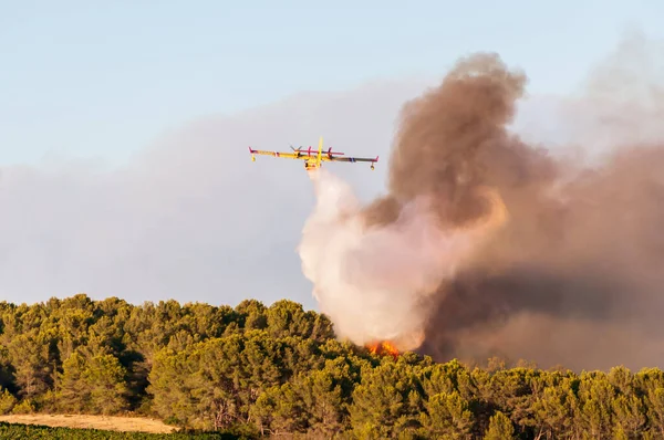 Canadaire Trying Put Out Fire Garrigue Summer Occitanie France — Stock Photo, Image