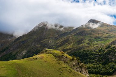 Pyrenean manzarası, Ossau vadisi, Bearn, Fransa