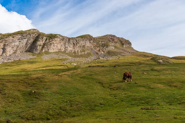 Paardrijden Bij Pourtalet Pas Het Ossau Dal Bearn Frankrijk — Stockfoto