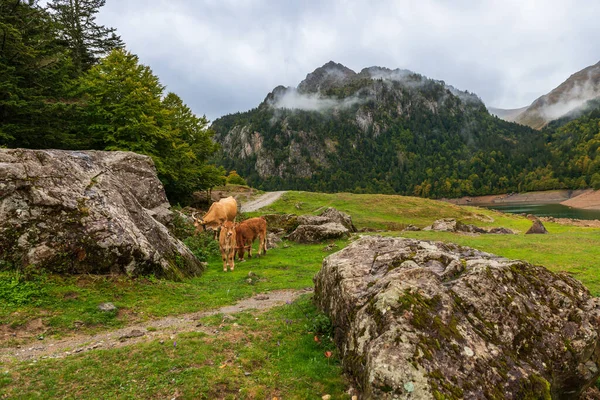 Nekler Bious Artigues Gölünün Yanında 1416 Metrede Fransa Nın Barn — Stok fotoğraf