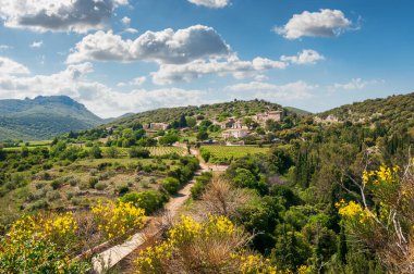 İlkbaharda Haut Languedoc kırsalında Herault, Occitanie, Fransa