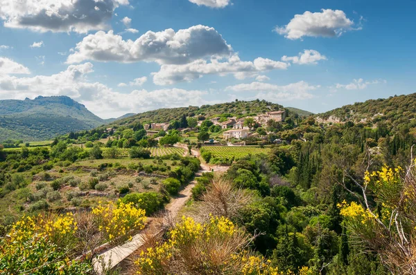 İlkbaharda Haut Languedoc kırsalında Herault, Occitanie, Fransa
