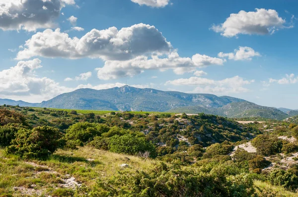 İlkbaharda Haut Languedoc kırsalında Herault, Occitanie, Fransa