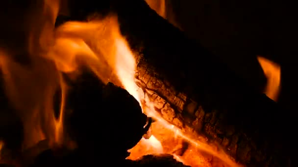 Шматок Колод Згорів Вогні Енергетична Концепція Приготування Барбекю — стокове відео