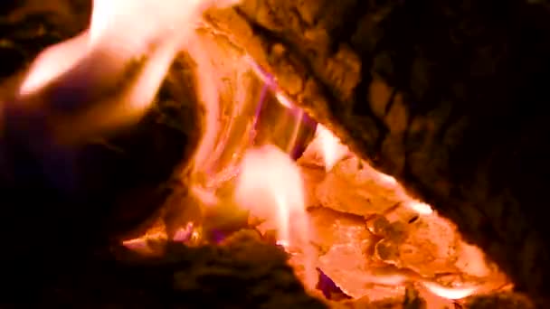Bitar Brinnande Trä Förbereda Eld För Matlagning — Stockvideo