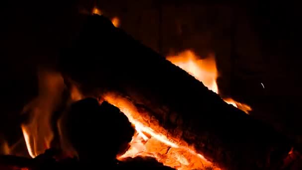 Wood Embers Burning Close Preparing Barbecue — Stock Video