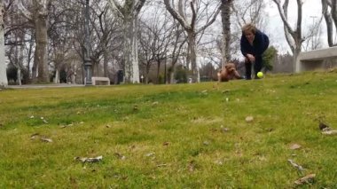 Yaşlı kadın, halka açık bir parkta sarı top atan bir kanişiyle oynuyor.