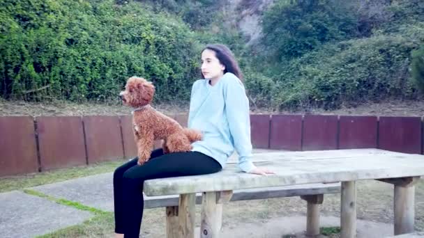 Camera Revolving Seated Teenage Girl Toy Poodle Top Her — 图库视频影像