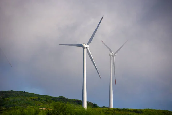 Bir tepenin üstünde iki elektrikli yel değirmeni olan kırsal alan.