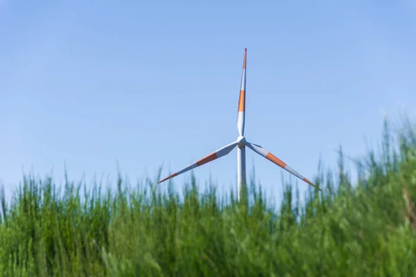 Foto Colorida Campo Con Hierba Molino Viento Industrial Fondo — Foto de Stock