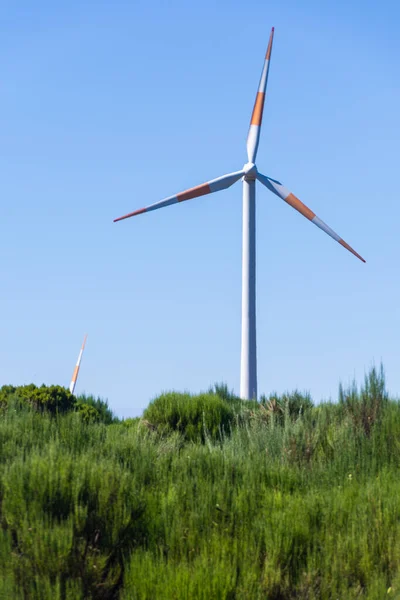 Paisaje Rural Con Molinos Viento Eléctricos Cima Una Colina Cielo — Foto de Stock