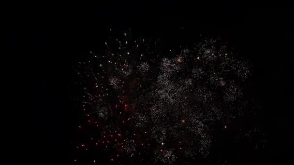 Perayaan Pertunjukkan Kembang Api Colorful Firework — Stok Video