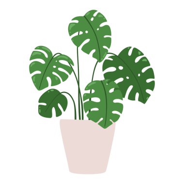 Canavar mı? Saksıdaki bir bitkinin vektör çizimi. Beyaz arkaplanda izole.