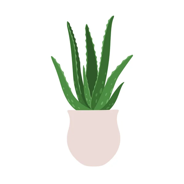 Aloe Vagyok Vektorillusztráció Egy Fazékban Lévő Szobanövényről Fehér Alapon Elszigetelve — Stock Vector