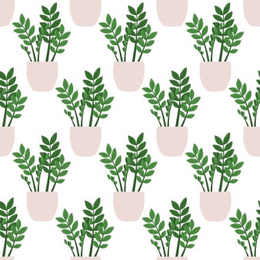 Zamioculcas zamiifolia. Beyaz arka planda saksıda bulunan bir bitkinin vektörsüz deseni.