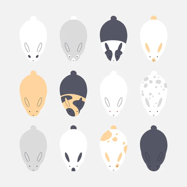 Vektor Uppsättning Illustrationer Kaniner Kanin Hare — Stock vektor