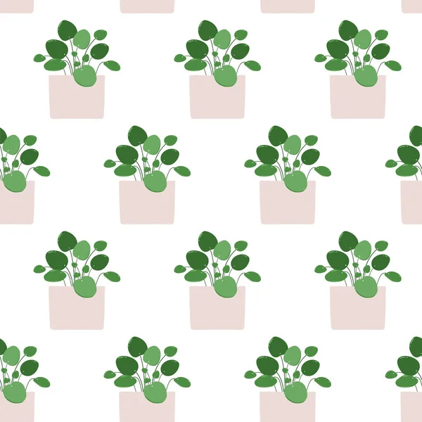 Pilea Vektornahtloses Muster Einer Zimmerpflanze Topf Auf Weißem Hintergrund — Stockvektor
