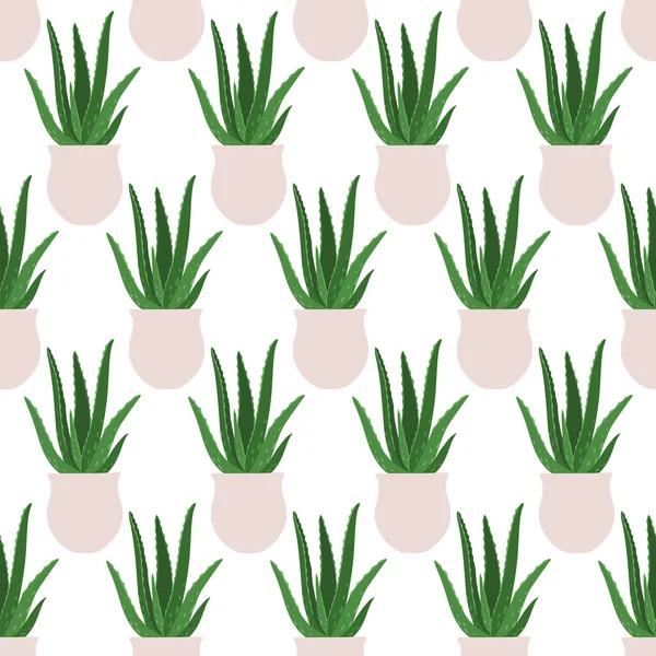 アロエ 白地の鉢の中の観葉植物のベクトルシームレスなパターン — ストックベクタ