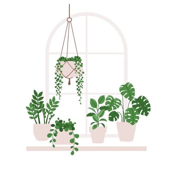 窓辺の鉢の室内植物のベクトル図 — ストックベクタ