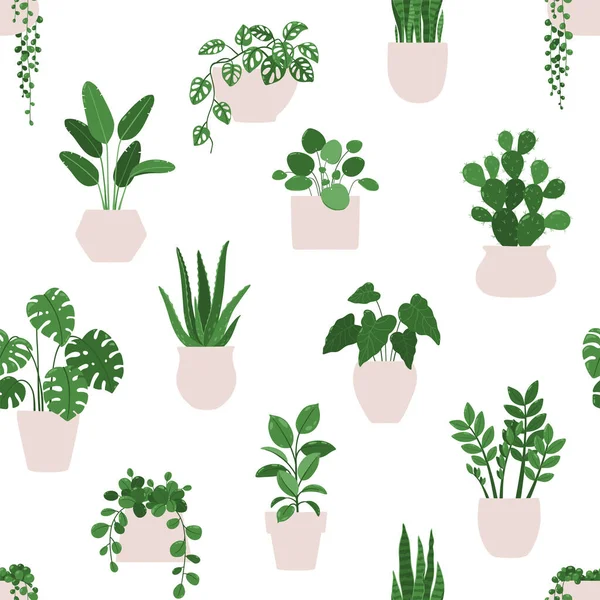 Vector Seamless Pattern Indoor Plants Houseplants Pots White Background — Stock Vector