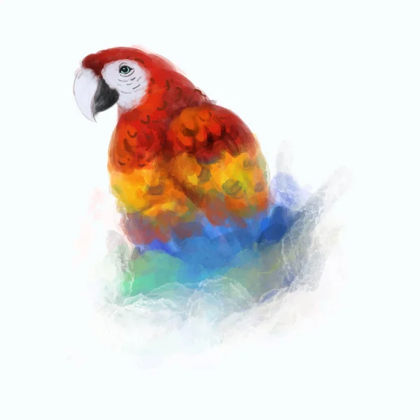 Aquarelle Oiseau Aras Isolé Sur Fond Blanc — Image vectorielle