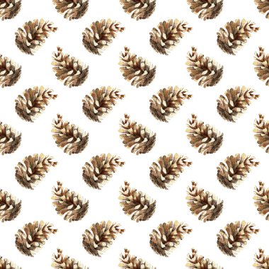 Çam kozalaklı suluboya botanik desenli. Beyaz arka planda elle boyanmış kış tatili bitkileri. Tasarım, baskı, kumaş veya arkaplan için çiçek çizimi.