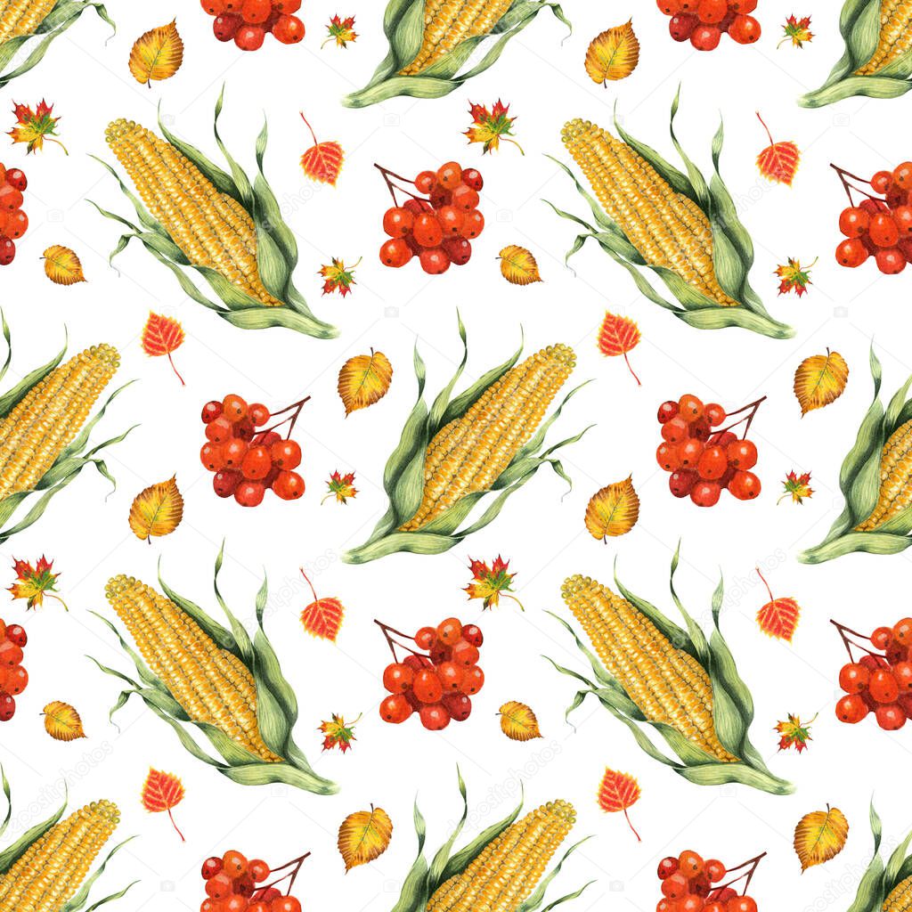 Watercolor seamless pattern of corn, leaves and rowan. Hand painted food isolated on white background. Autumn harvest festival. Botanical illustration for design, print or background.