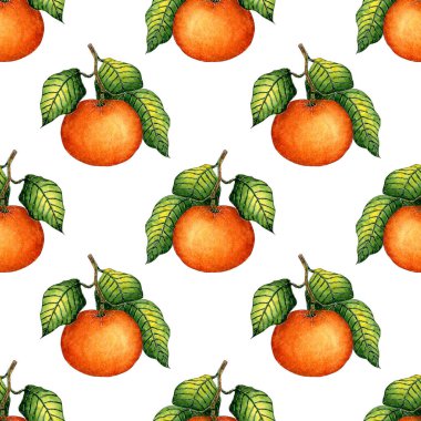 Suluboya desenli yeşil yapraklı olgun mandalina. Kusursuz, sulu narenciye izi. Kış mevsimi meyveleri. Beyaz arka planda izole edilmiş vitamin yiyeceği. Elle çizilmiş.