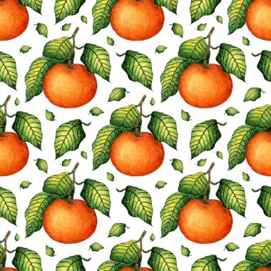 Olgun mandalina ve yeşil yapraklı suluboya deseni. Kusursuz, sulu narenciye izi. Kış mevsimi meyveleri. Beyaz arka planda izole edilmiş vitamin yiyeceği. Elle çizilmiş.