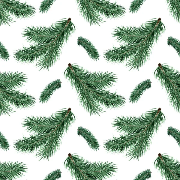 페인팅 가문비나무가지 크리스마스와 신년을 무의미하게 반복되는 식물학 계절성 디자인 생태학 — 스톡 벡터