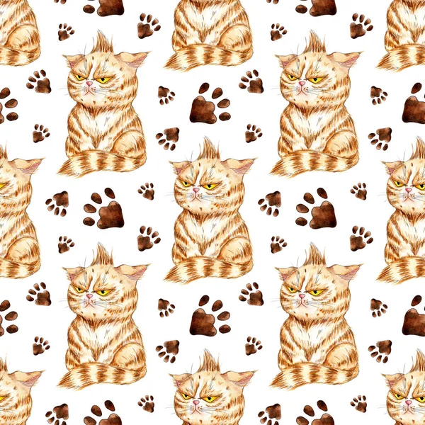 Suluboya desenli kedi ve pençe izleri. Kızgın kedi. Ev dekorasyonu ya da çocuk tekstili için kusursuz bir iz. Beyaz arka planda izole edilmiş. Elle çizilmiş..