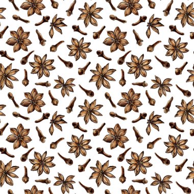 Tarçın yıldızlarının ve karanfil baharatlarının suluboya desenleri. Tarçın kabuğu ve baharat çiçekleriyle kusursuz bir iz. Pişmiş yiyecekler ya da kahve için hoş kokulu bir malzeme. Beyazda izole edilmiş. Elle çizilmiş..