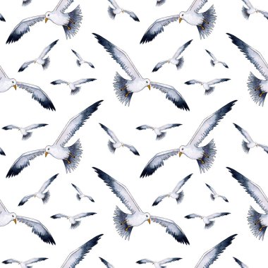 Gerçekçi bir martının suluboya çizimi. Şekillendirilmiş martıların kusursuz tekrarlayan baskısı. Minimalist süslemeli denizcilik geçmişi. Deniz yaşamı, uçan kuşlar. Beyaz arkaplanda izole.