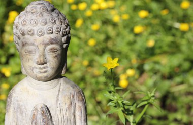 Arka planda sarı çiçekli Buda Heykeli Sığ DOF