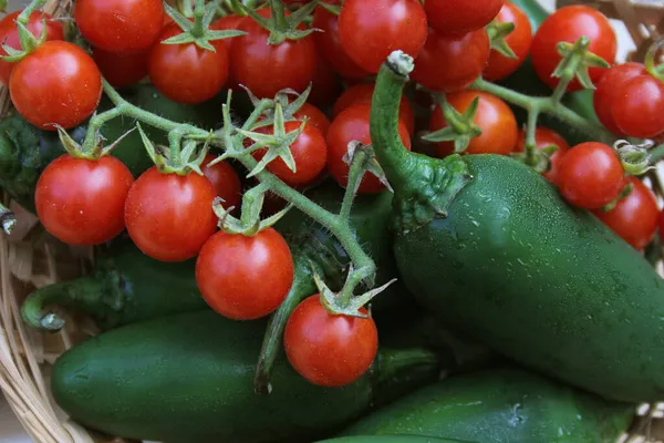 有机蔬菜市场上新鲜的辣椒和樱桃番茄 — 图库照片