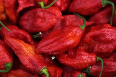 Çiftçi pazarında bir sepet taze Bhut Jolokia Hayalet Chili Peppers.