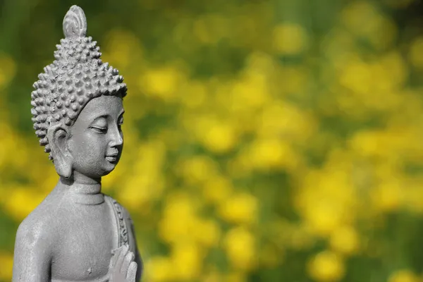 Posąg Buddy z polem żółtych kwiatów w tle — Zdjęcie stockowe