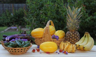 Taze meyve ve sebzeler çiftçi pazarında satılıyor muz ve minyatür muzlar Kore kavunlarıyla